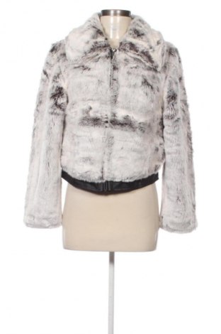 Dámsky kabát  Decjuba, Veľkosť S, Farba Sivá, Cena  58,95 €