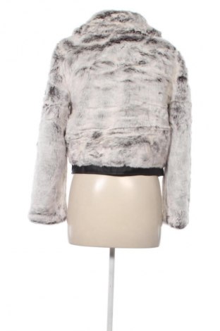 Dámsky kabát  Decjuba, Veľkosť S, Farba Sivá, Cena  58,95 €