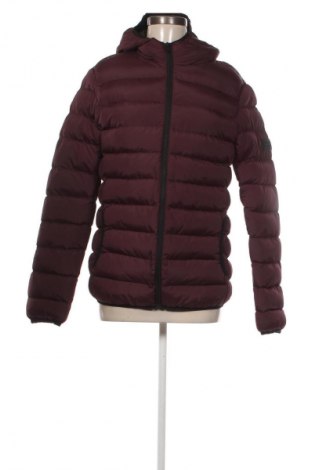 Kurtka damska French Connection, Rozmiar S, Kolor Czerwony, Cena 487,99 zł