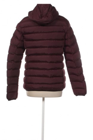 Kurtka damska French Connection, Rozmiar S, Kolor Czerwony, Cena 487,99 zł