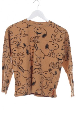 Детска блуза Zara, Размер 12-13y/ 158-164 см, Цвят Кафяв, Цена 6,13 €
