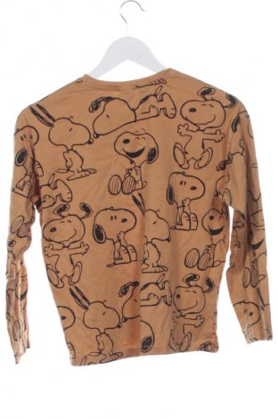 Детска блуза Zara, Размер 12-13y/ 158-164 см, Цвят Кафяв, Цена 6,13 €