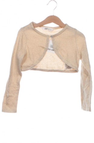 Детска жилетка H&M, Размер 4-5y/ 110-116 см, Цвят Бежов, Цена 6,64 €