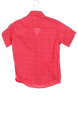 Gyerek ing Unbranded, Méret 5-6y / 116-122 cm, Szín Sokszínű, Ár 1 559 Ft