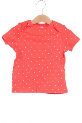 Dziecięcy T-shirt F&F, Rozmiar 18-24m/ 86-98 cm, Kolor Kolorowy, Cena 23,99 zł