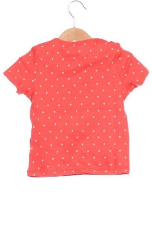 Dziecięcy T-shirt F&F, Rozmiar 18-24m/ 86-98 cm, Kolor Kolorowy, Cena 23,99 zł