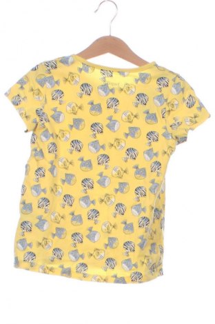 Детска тениска Lupilu, Размер 4-5y/ 110-116 см, Цвят Многоцветен, Цена 5,62 €