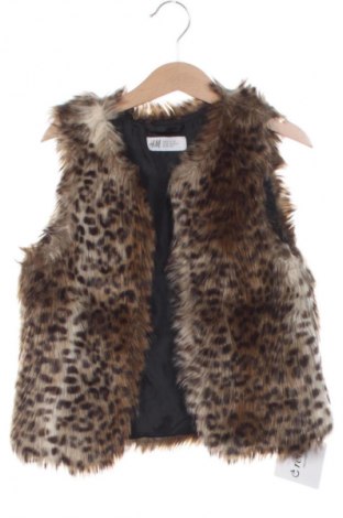 Παιδικό γιλέκο H&M, Μέγεθος 6-7y/ 122-128 εκ., Χρώμα Πολύχρωμο, Τιμή 10,99 €