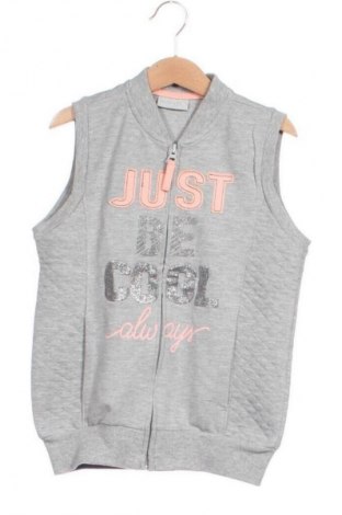 Παιδικό γιλέκο LC Waikiki, Μέγεθος 6-7y/ 122-128 εκ., Χρώμα Γκρί, Τιμή 8,99 €