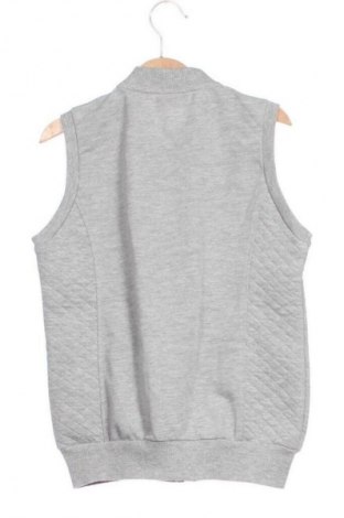 Παιδικό γιλέκο LC Waikiki, Μέγεθος 6-7y/ 122-128 εκ., Χρώμα Γκρί, Τιμή 8,99 €