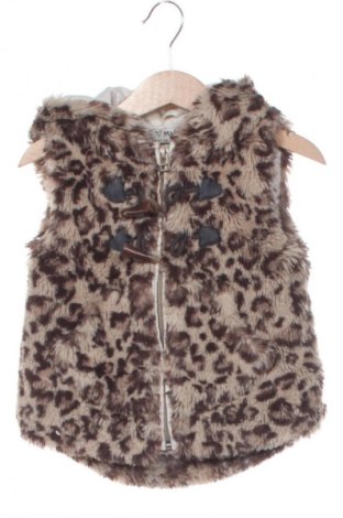 Παιδικό γιλέκο Next, Μέγεθος 12-18m/ 80-86 εκ., Χρώμα Πολύχρωμο, Τιμή 9,99 €