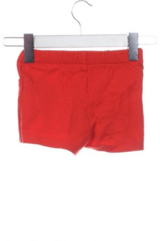 Детски къс панталон LC Waikiki, Размер 9-12m/ 74-80 см, Цвят Червен, Цена 6,13 €