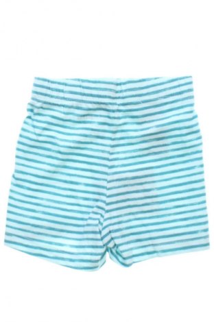 Детски къс панталон Lupilu, Размер 3-6m/ 62-68 см, Цвят Многоцветен, Цена 5,11 €