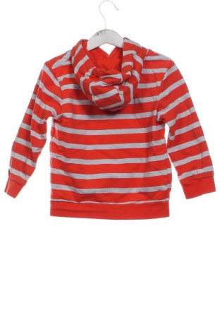 Dziecięca bluza Topolino, Rozmiar 4-5y/ 110-116 cm, Kolor Kolorowy, Cena 44,99 zł