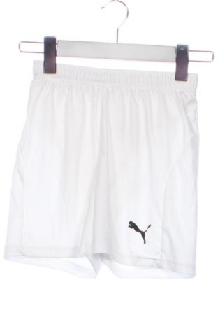 Kinder Sporthose PUMA, Größe 8-9y/ 134-140 cm, Farbe Weiß, Preis 11,99 €