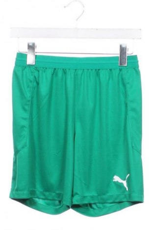 Детско спортно долнище PUMA, Размер 13-14y/ 164-168 см, Цвят Зелен, Цена 15,33 €