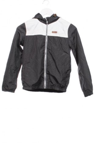 Παιδικό μπουφάν Here+There, Μέγεθος 9-10y/ 140-146 εκ., Χρώμα Γκρί, Τιμή 7,99 €