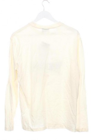 Pánské tričko  ASOS, Velikost XS, Barva Krémová, Cena  49,00 Kč