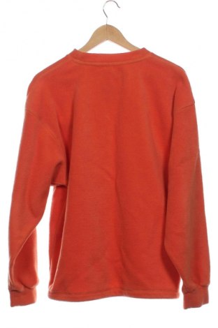 Herren Shirt Peter Storm, Größe S, Farbe Orange, Preis 13,99 €