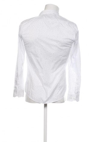 Pánská košile  Carducci, Velikost S, Barva Vícebarevné, Cena  339,00 Kč