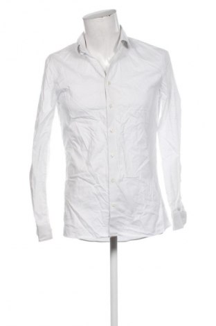 Pánská košile  Olymp, Velikost M, Barva Vícebarevné, Cena  379,00 Kč