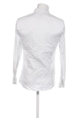 Pánská košile  Olymp, Velikost M, Barva Vícebarevné, Cena  379,00 Kč