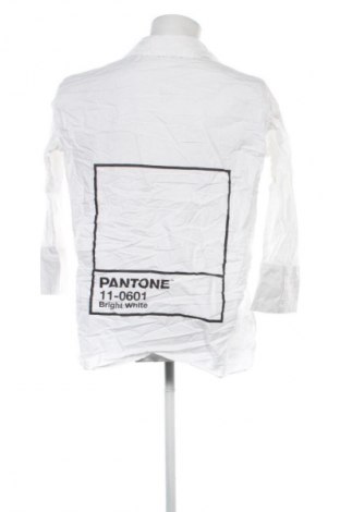 Pánská košile  Zara, Velikost M, Barva Vícebarevné, Cena  89,00 Kč