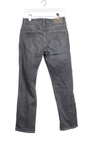 Herren Jeans Denim Co., Größe S, Farbe Grau, Preis € 25,99