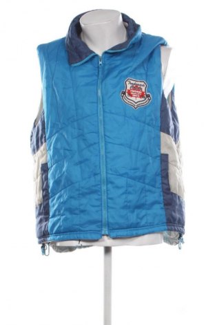 Мъжки елек Unbranded, Размер L, Цвят Многоцветен, Цена 7,15 €