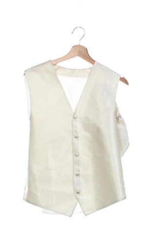 Pánská vesta  Unbranded, Velikost L, Barva Krémová, Cena  381,00 Kč