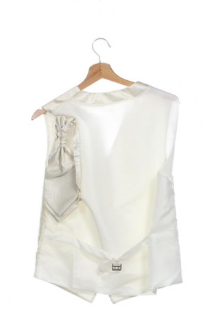 Pánská vesta  Unbranded, Velikost L, Barva Krémová, Cena  381,00 Kč