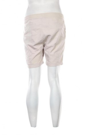 Pánské kraťasy DAILY AESTHETIKZ, Velikost M, Barva Šedá, Cena  209,00 Kč