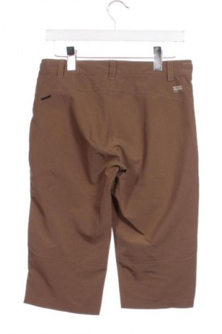 Férfi rövidnadrág Icepeak, Méret S, Szín Barna, Ár 2 549 Ft