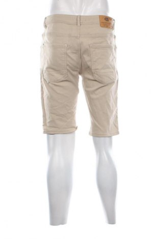 Мъжки къс панталон Petrol Industries, Размер L, Цвят Зелен, Цена 9,71 €