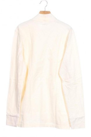 Męski golf Hollister, Rozmiar S, Kolor Beżowy, Cena 37,99 zł