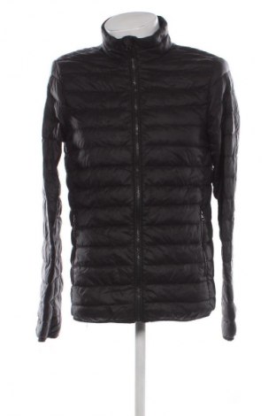 Ανδρικό μπουφάν Livergy, Μέγεθος M, Χρώμα Μαύρο, Τιμή 12,99 €