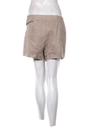 Παντελονόφουστα Zara, Μέγεθος S, Χρώμα Καφέ, Τιμή 5,99 €