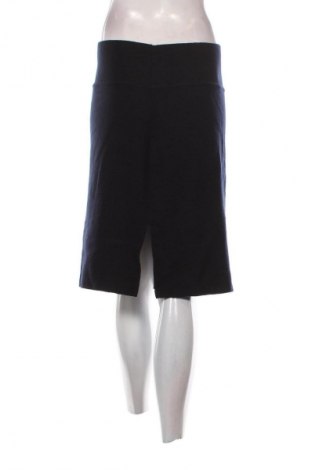 Fustă Briciole, Mărime L, Culoare Albastru, Preț 53,99 Lei