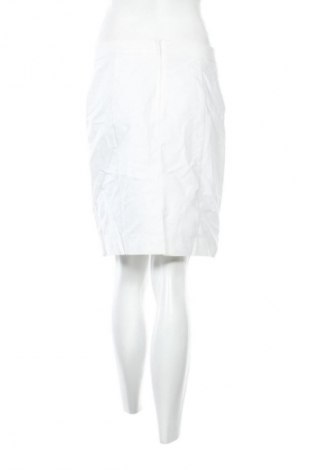 Φούστα H&M, Μέγεθος L, Χρώμα Λευκό, Τιμή 5,99 €