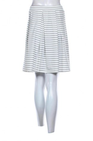 Φούστα Mshll Girl, Μέγεθος XL, Χρώμα Πολύχρωμο, Τιμή 3,99 €