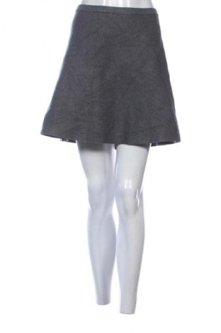 Fustă Nizzin, Mărime L, Culoare Gri, Preț 12,99 Lei