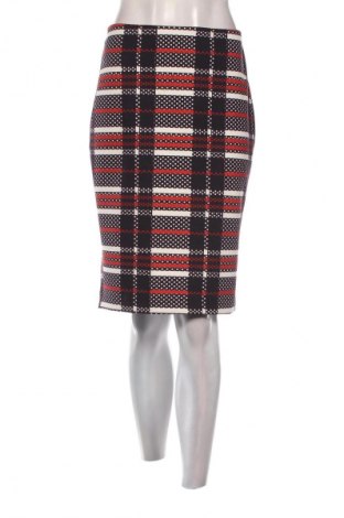 Fustă Papaya, Mărime L, Culoare Multicolor, Preț 33,99 Lei