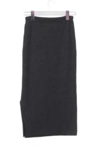 Φούστα Riani, Μέγεθος XS, Χρώμα Γκρί, Τιμή 23,99 €