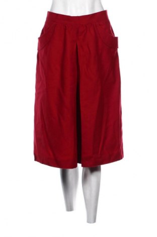 Fustă Unbranded, Mărime L, Culoare Roșu, Preț 62,99 Lei
