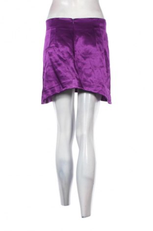Φούστα Zara, Μέγεθος L, Χρώμα Βιολετί, Τιμή 7,99 €