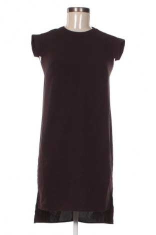 Kleid AllSaints, Größe XXS, Farbe Lila, Preis 38,99 €