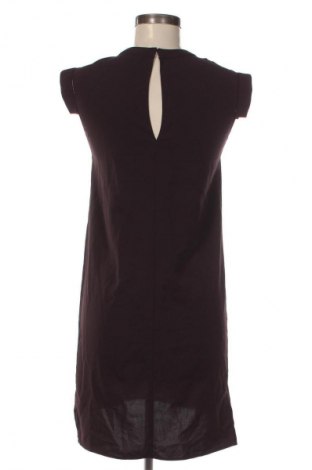 Kleid AllSaints, Größe XXS, Farbe Lila, Preis 38,99 €