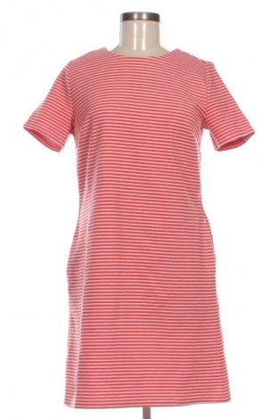 Kleid Ann Taylor, Größe L, Farbe Mehrfarbig, Preis € 14,99