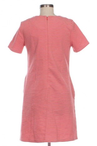 Kleid Ann Taylor, Größe L, Farbe Mehrfarbig, Preis € 14,99