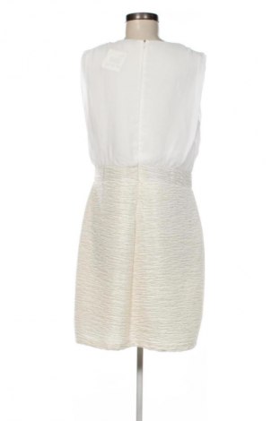 Φόρεμα Body Flirt, Μέγεθος XL, Χρώμα Πολύχρωμο, Τιμή 10,99 €